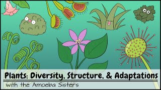Plants: Diversity, Structure, & Adaptations