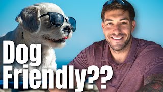 Is Pensacola Beach Florida Dog Friendly?