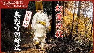 シリーズ『比叡山千日回峰行④』 回峰道を歩く…紅葉の秋🍁〜聖なる祈りの道〜比叡山『無動寺回峰道』1000 Day Circumambulation.