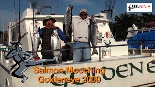 Goldeneye 2000 Salmon Fishing, Mooching For Salmon