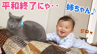 ここ､私の場所なんですけど‥⁉︎ パパの上に赤ちゃんも仲間入り‼︎