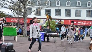 那須どうぶつ王国芸術祭・どうぶつ音楽隊