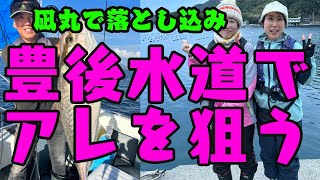 豊後水道でアレを狙って釣ってみた！