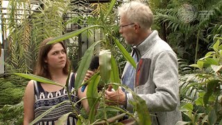 KINDERUNI DIGITAL – Von Fleischfressern und Überlebenskünstlern. Der Botanische Garten