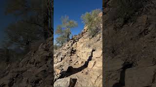 Blackett’s Ridge Trail Sabino Canyon Tucson Arizona