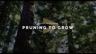 In Partnership | Pruning to Grow