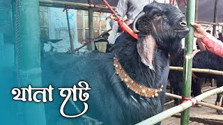 আজকের জমজমাট পটিয়া থানা হাট! Full Length Video