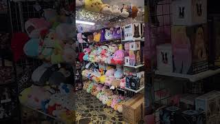 The Ultimate Plushie Paradise: Exploring a Vendor Booth at RGV Super Anime Fest!