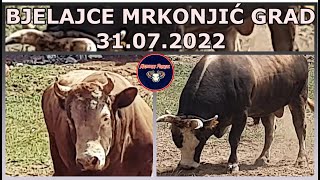 BRIZAN (MUTABDŽIĆ) - CVIJAN (ĆOSIĆ) BJELAJCE MRKONJIĆ GRAD 31.07.2022 KORIDA