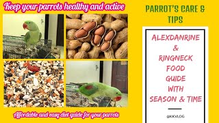 Parrots care and tips - Food for Alexandrine and Ringneck