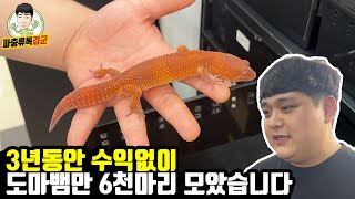 한달에 먹이값만 280만원ㄷㄷ그래도 행복하다는 파충류샵 사장님