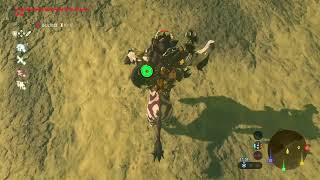 30秒內擊敗人馬 #薩爾達傳說曠野之息 #zeldabreathofthewild