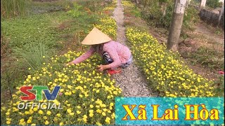 STV - Xã Lai Hòa: Hệ thống đường giao thông thay đổi diện mạo nông thôn I Trang địa phương