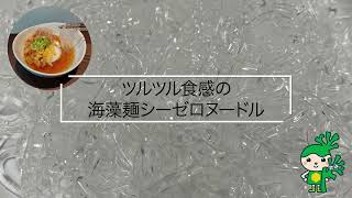 PR動画【実績事例：株式会社Ｆ－グレイス】 サンプルNo.2【会社紹介B：少し動きのある起承転結】「BtoBプラットフォーム商談」（売り手）