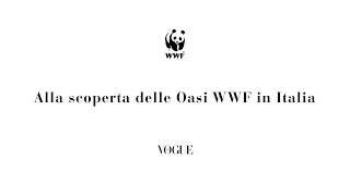 Alla scoperta delle Oasi WWF in Italia: Oasi di Burano