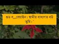 পাগল ছেলের এতিম বউ ৬ পর্ব সন্ধি হৃদয়ে হৃদয়ে।রোমান্টিক ভালবাসার গল্প।। অনন্যা story