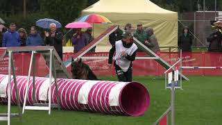 World Championship Agility German Shepherds Jolien Knapen Pirlo v  Team Hühnegrab