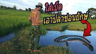 ชีวิตเด็กบ้านนอกEP.3