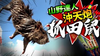 【★用沖天炮抓田鼠?!★看山野達人如何炮炸水攻 緝捕田老大!!】Catch the voles with gunpowder and water