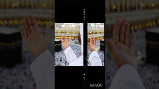 aapko aur Hamen Umra Naseeb Ho Ameen🤲#bloom #explore #views #umraMubarak @Nashrshk_2.0 #ytshorts