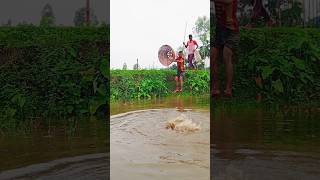 villagers catch fish in the pond like this video #funny #video #comedy #fishing #shorts #tiktok