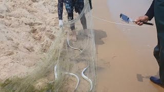 6월18 화진포 오후 바다투망 live 라이브방송 cast net fishing