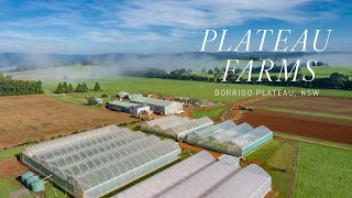 ‘Plateau Farms’, Dorrigo Plateau, NSW