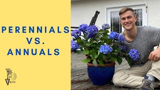 Gardening Basic: Annuals vs Perennials