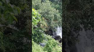 📍Blapila waterfalls #konni #konnitourism #pathanamthitta #waterfalls