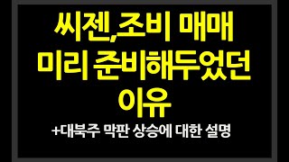 씨젠 및 조비등 미리준비해두었던 이유 및 대북주 막판 오른이유등에 대한 설명