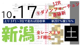 10月17日土曜日　新潟競馬場　上り3F順位データ　飛翼特別　2020 (新馬戦障害戦除く)