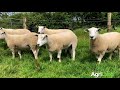 aber and texel rams