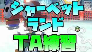 【マリオカート8DX】シャーベットランドTA練習！【MK8D】