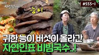 [자연인] 555-1 비빔국수에 귀한 능이가..? 계곡 물소리 들으며 먹는 맛은?!