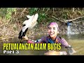 PETUALANGAN ALAM BUGIS | JEJAK PETUALANG (05/12/23) Part 3