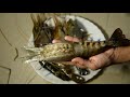 spicy tiger prawn fry recipe prawn fry recipe tiger prawn fry jumbo prawns recipe