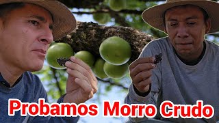 Volvimos a explorar los Campos más escondidos