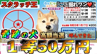 【宝くじスクラッチ】１等50万円『柴犬２』高額当選を連れてくる犬！？ありがとう。【＃宝くじ】