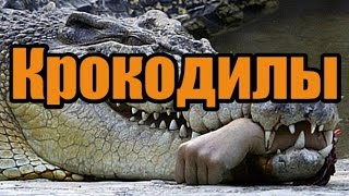 Крокодилы | контактные зажимы | клеммы