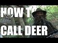 Fieldsports Britain - How to call deer