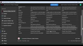 Understanding the Adobe Experience Platform Web SDK Debugger – Part 2: Deep Dive into Data & Events