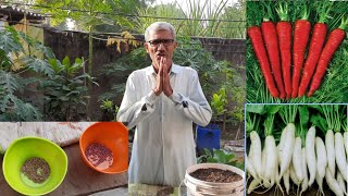 गमले/grow bag में गाजर और मूली कैसे लगाए ?  how to plant carrot and raddish in pots ?