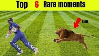 Top 6 | Animal attack in cricket ground 😯😨