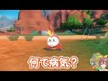 【ポケモンsv】御三家進化二人の反応シーン！【ホロライブ 戌神ころね 兎田ぺこら】