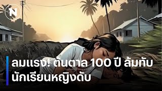 ลมแรง! ต้นตาล 100 ปี ล้มทับนักเรียนหญิงดับ  | เนชั่นทันข่าวค่ำ | NationTV22