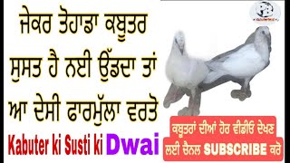 Kabuter ki Susti ki dwai || ਜੇਕਰ ਤੋਹਾਡਾ ਕਬੂਤਰ ਸੁਸਤ ਰਹਿੰਦਾ ਨਈਂ ਉੱਡਦਾ ਤਾਂ ਵਰਤੋ ਆ ਦੇਸੀ ਫਾਰਮੂਲਾ 🦅🦅