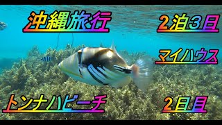 沖縄旅行2泊3日2日目