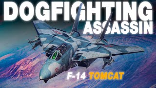 Absolute Assassin | F-14B Tomcat DOGFIGHT Vs F-15/F-16 | Digital Combat Simulator | DCS |