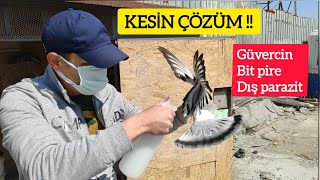 BİT PİRE AT SİNEĞİ DIŞ PARAZİT - PÜRMÜZ İLE KÜMES TEMİZLİK DEZENFEKTE - BLOTİC - GÜVERCİN