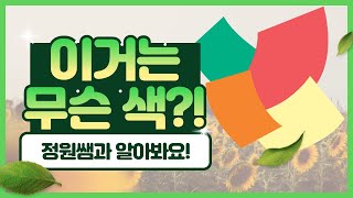 [초등미술, 색깔, 감각] 정원쌤과 함께 색에 대한 감각을 길러봐요!